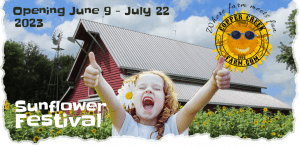Sunflower Festival June 9 - July 22, 2023 this summer at Copper Creek Farm in Calhoun North Georgia