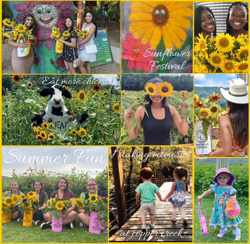 Copper Creek Farm Sunflower Festival Calhoun,
